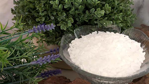 bowl of cetyl alcohol in front of some plants. Photography by Wilderness Lab