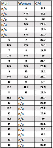 nike dunk size chart