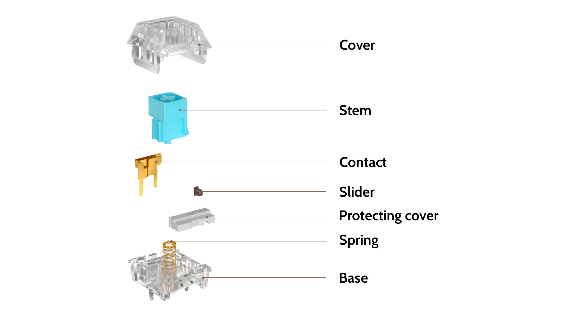 Kailh Crystal Robin Box Switch Structure