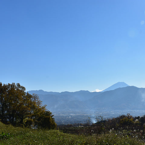 花と木の工房 メイフラワーズ / 山梨の逸品取扱い通販