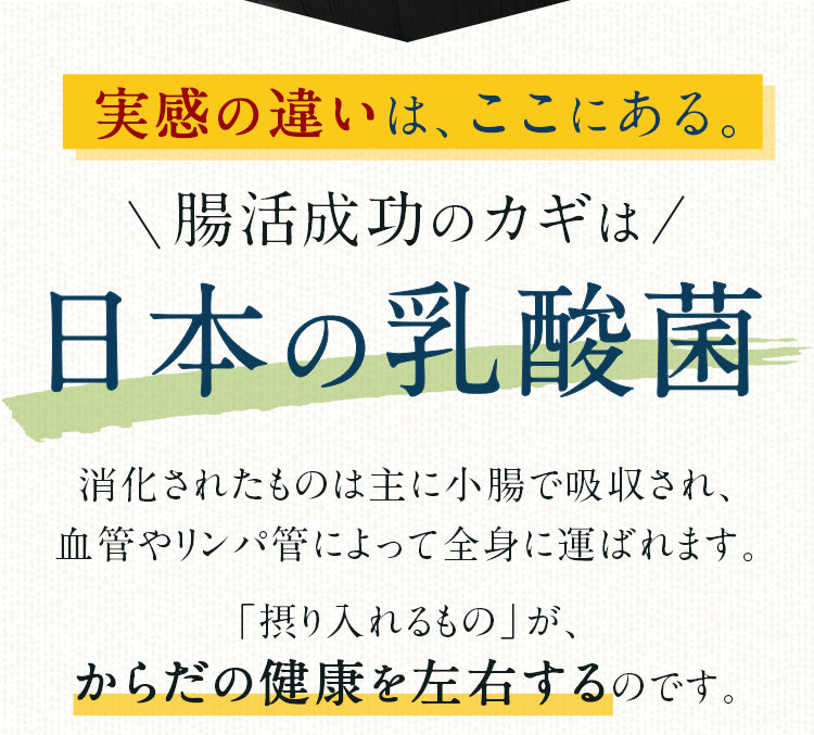 実感の違いはここにある。腸活成功のカギは「日本の乳酸菌」消化されたものは主に小腸で吸収され、血管やリンパ管によって全身に運ばれます。「摂り入れるもの」が、からだの健康を左右するのです。