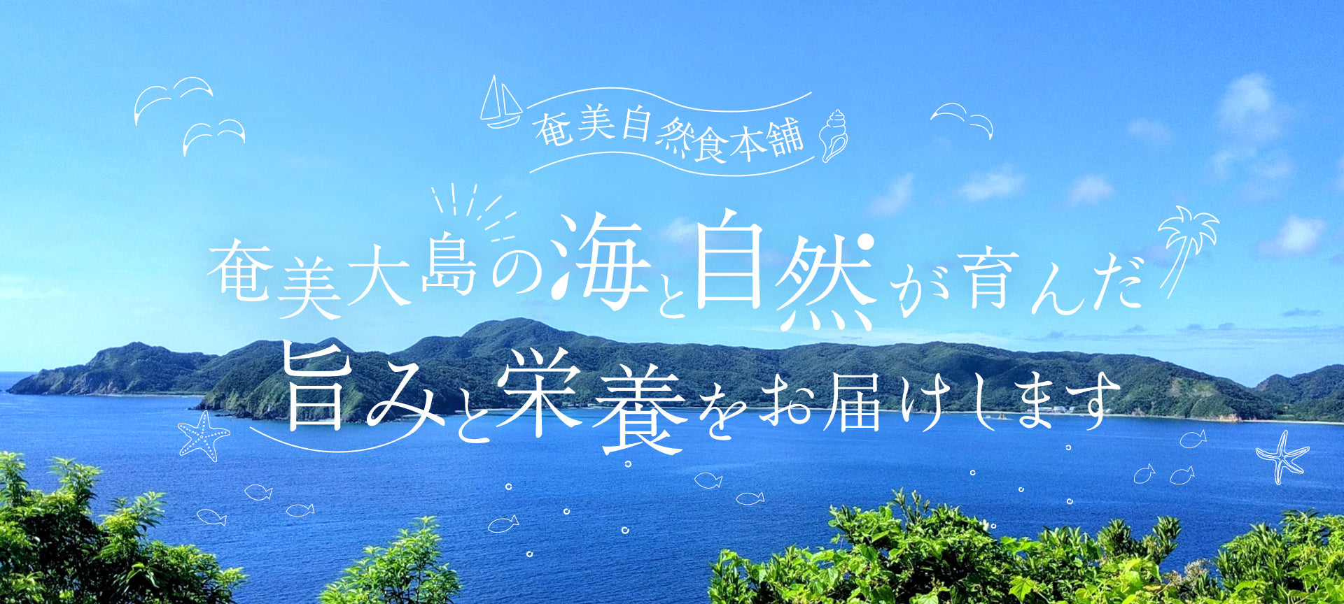 奄美自然食本舗 奄美大島の海と自然が育んだ旨みと栄養をお届けします