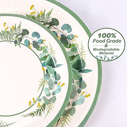 Sage Green Plates Jungle Safari Theme Party supplies - Greenery Paper Plates,Disposable Cups,Sage Floral Napkins for 24 Boho Party Supplies ,Wedding Bridal Shower Baby Shower Birthday Party Decoration