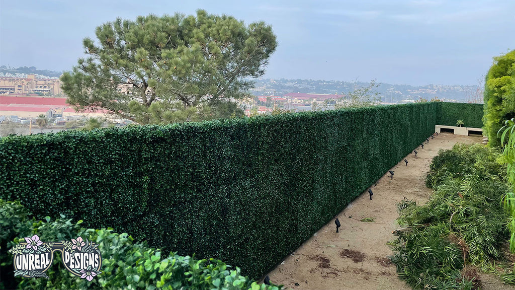 Hedge Wall Extension