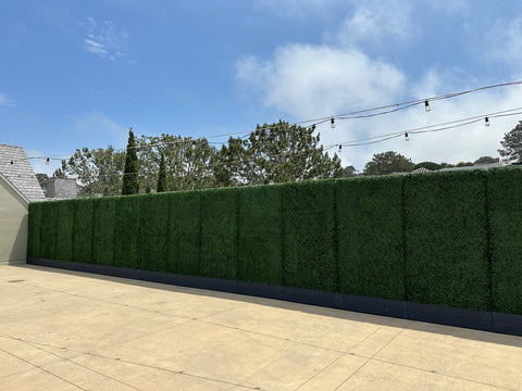 Boxwood Hedge Rental Wall