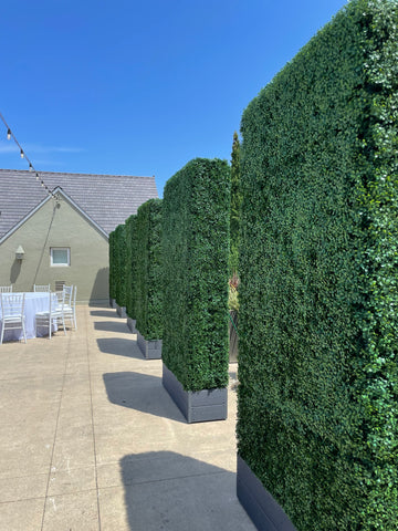 Hedge Walls