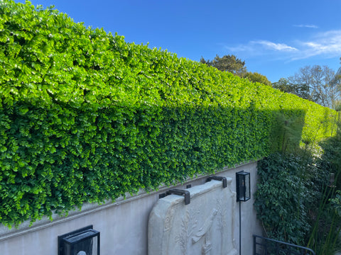 Hedge Extension