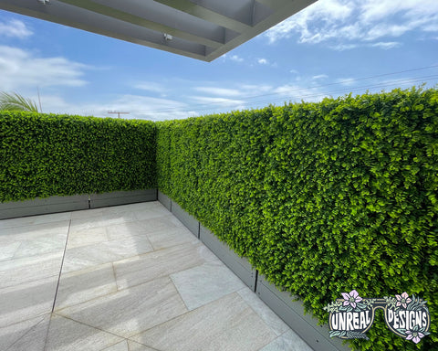 Lavish Leaf Hedges Privacy and Sound Barrier