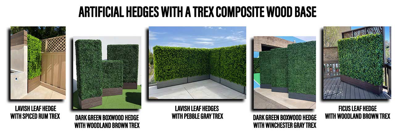 trex bases