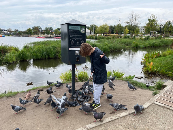 Happy child feeding pigeons in the park.