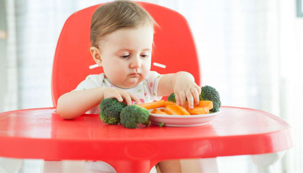 Baby Led Weaning: Should You Skip The Mush?