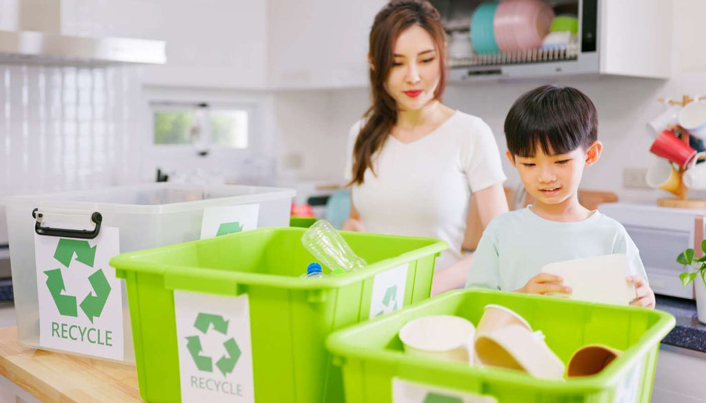 Sustainability for Kids