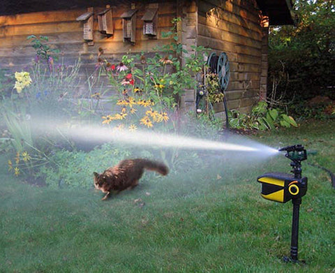 Garden Sentinel device spraying water to deter possums in a garden.
