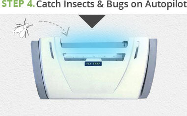 Catch insects and bugs on autopilot