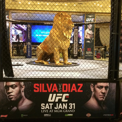 UFC 183