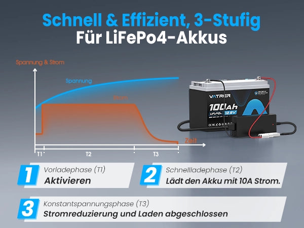 12V 10A Intelligent AC-DC Charger
