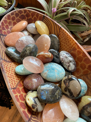 $10 Palm Stones - The Swallow's Nest