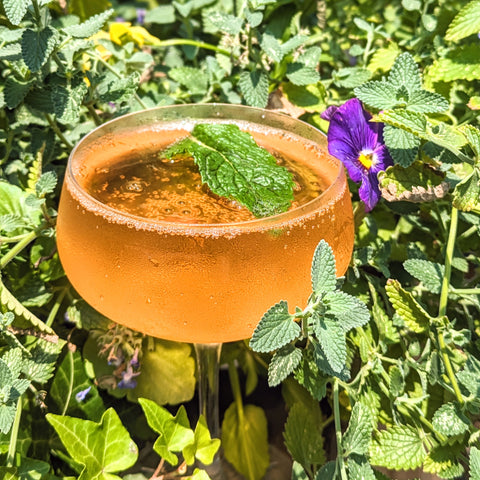 Fort Greene Cuban Cocktail Recipe From The Greene Grape