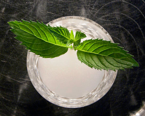 Mojito Cocktail From The Greene Grape