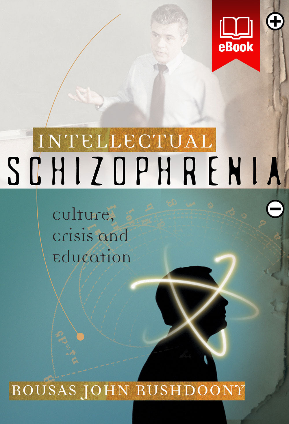 Intellectual Schizophrenia