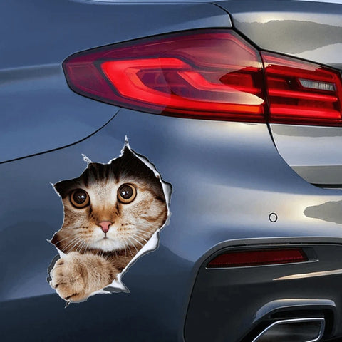 3D Dog and Cat Waterproof Removable Stickers to Hide Car Scratches or Just For Fun