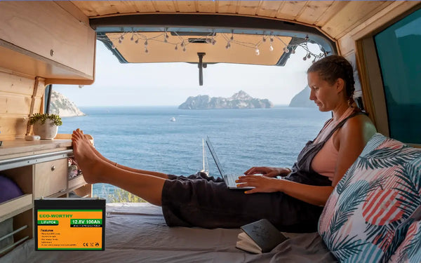 A woman working on a laptop inside a van with a scenic ocean view.