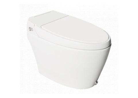 Hindware Floor Mounted S. Gold Closet WC Automate AUTOMATE 92522