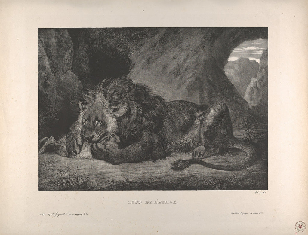 Lion of the Atlas Mountains, by Eugène Delacroix