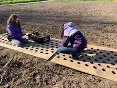 Planting garlic field at Count Von Garlic