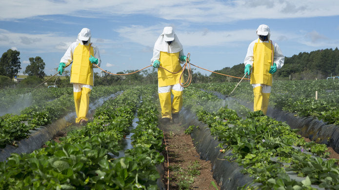 Garrnish Vegetable & Fruit Washer Removes 90% of Common Pesticides