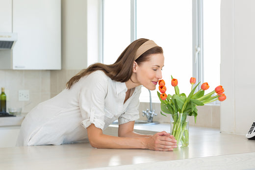 玄関に花を飾ると風水運気UP!造花はNG?方角別におすすめの花を解説。