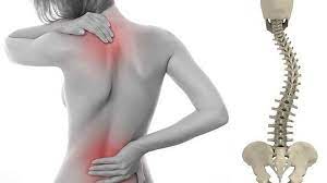 Columna Activa :: Causas del dolor en la zona de la espalda alta