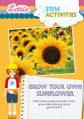 Grow your own sunflower STEM Activity