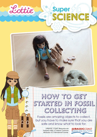 How to get started in fossil collecting factsheet for kids