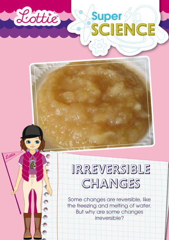 Irreversible changes activity for kids
