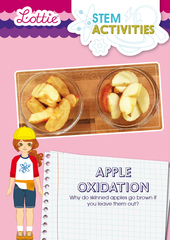 Apple Oxidation STEM Activity