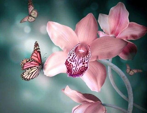 Diamond Painting - Pretty Butterflies and Flowers – Figured'Art