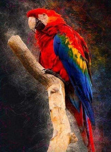 Diamond Painting - Large Parrots – Figured'Art