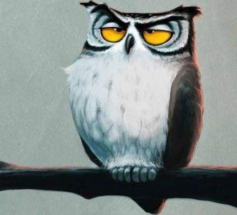 Diamond Painting - Owl and Flowers – Figured'Art