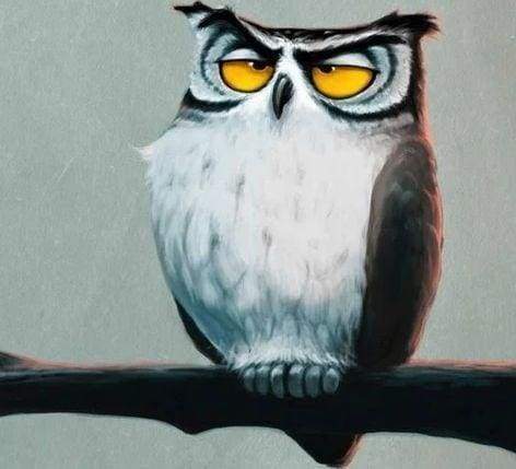 Diamond Painting - Fabulous Owl – Figured'Art