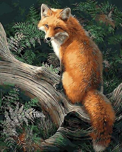 Fox with Chicory Paint by Numbers Kit