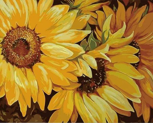 Paint by Numbers - Flowers in All colors – Figured'Art