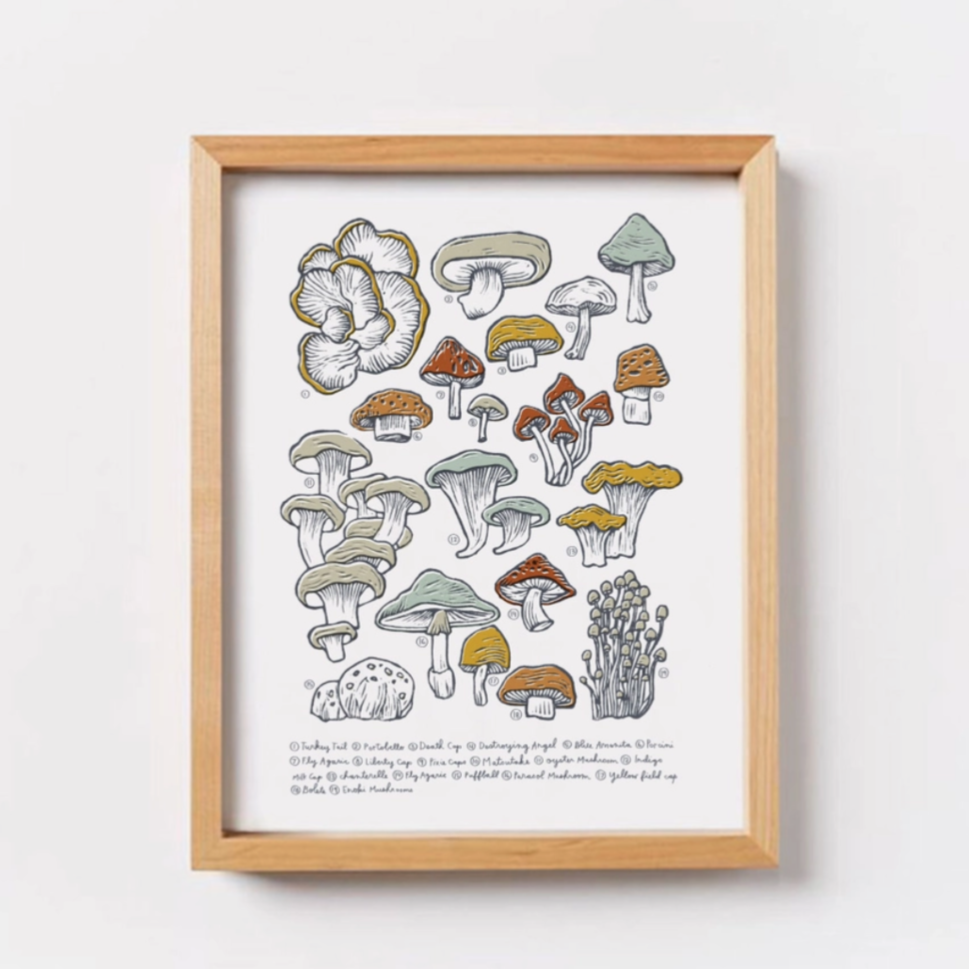 Mushroom & Fungi Wall Art Print