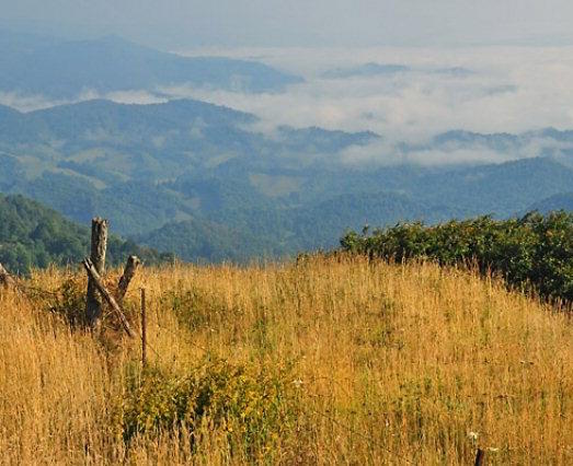 View in Trade, Tennessee. Photo from Lands of America.