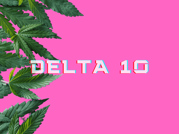 Delta 10 THC - The New Kid on the Block