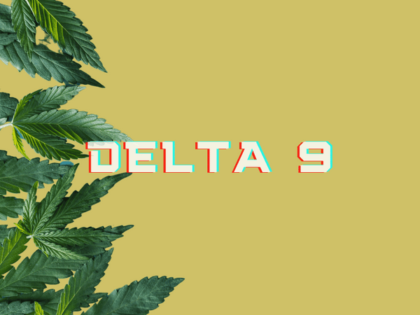 Delta 9 - The Most Well-Known Cannabinoid