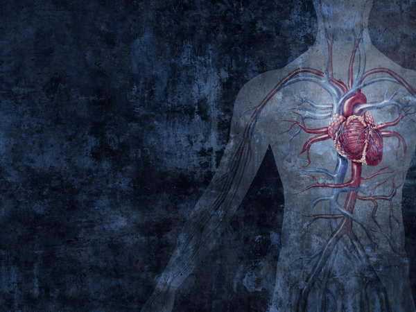 Endocannabinoid System