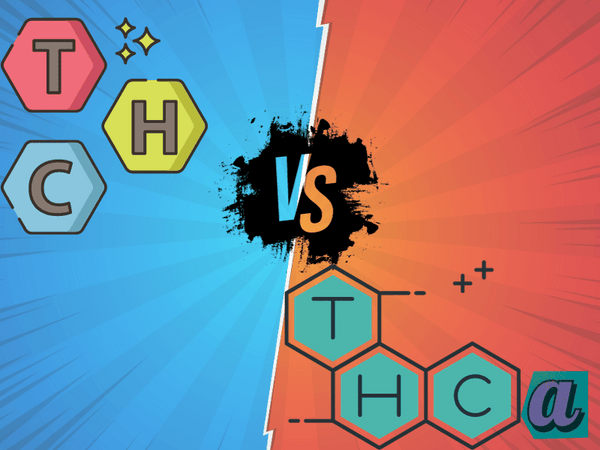 THC-a vs. THC