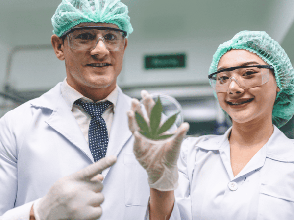 Two researchers holding a cannabis leaf