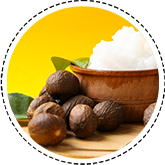 Shea Butter.png__PID:2df23f9e-2413-4aa7-b66f-9e4879602d5e